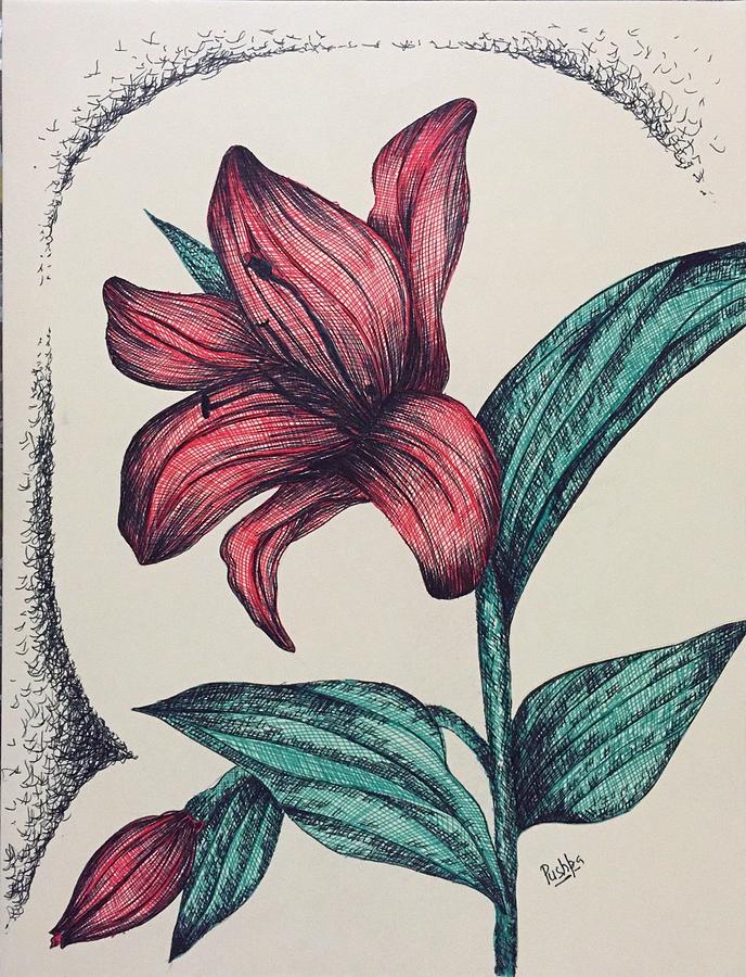 Red Lily Flower